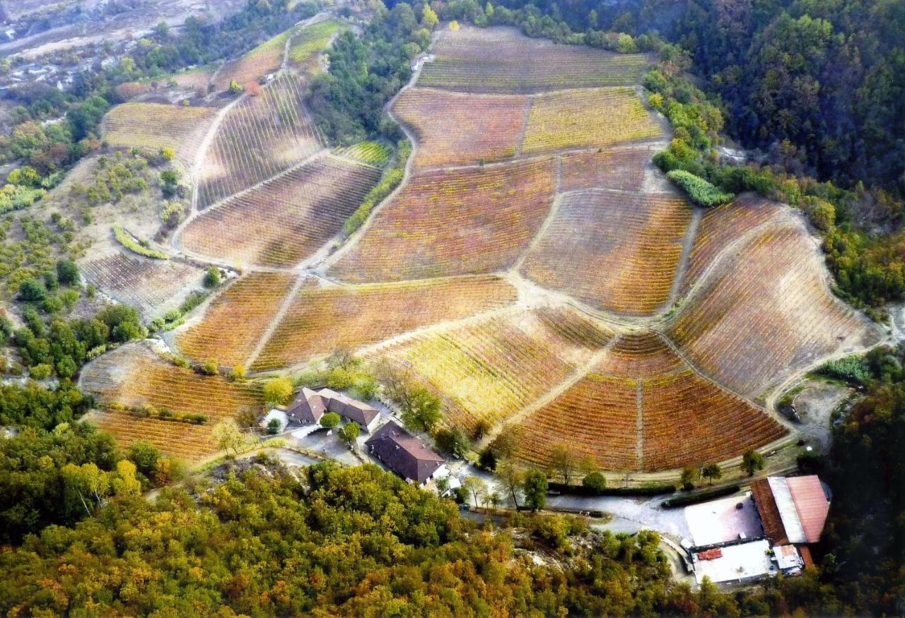 Cascina Bertolotto Wine Resort Spigno Monferrato Eksteriør bilde