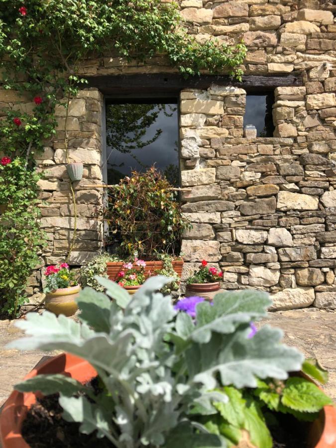 Cascina Bertolotto Wine Resort Spigno Monferrato Eksteriør bilde