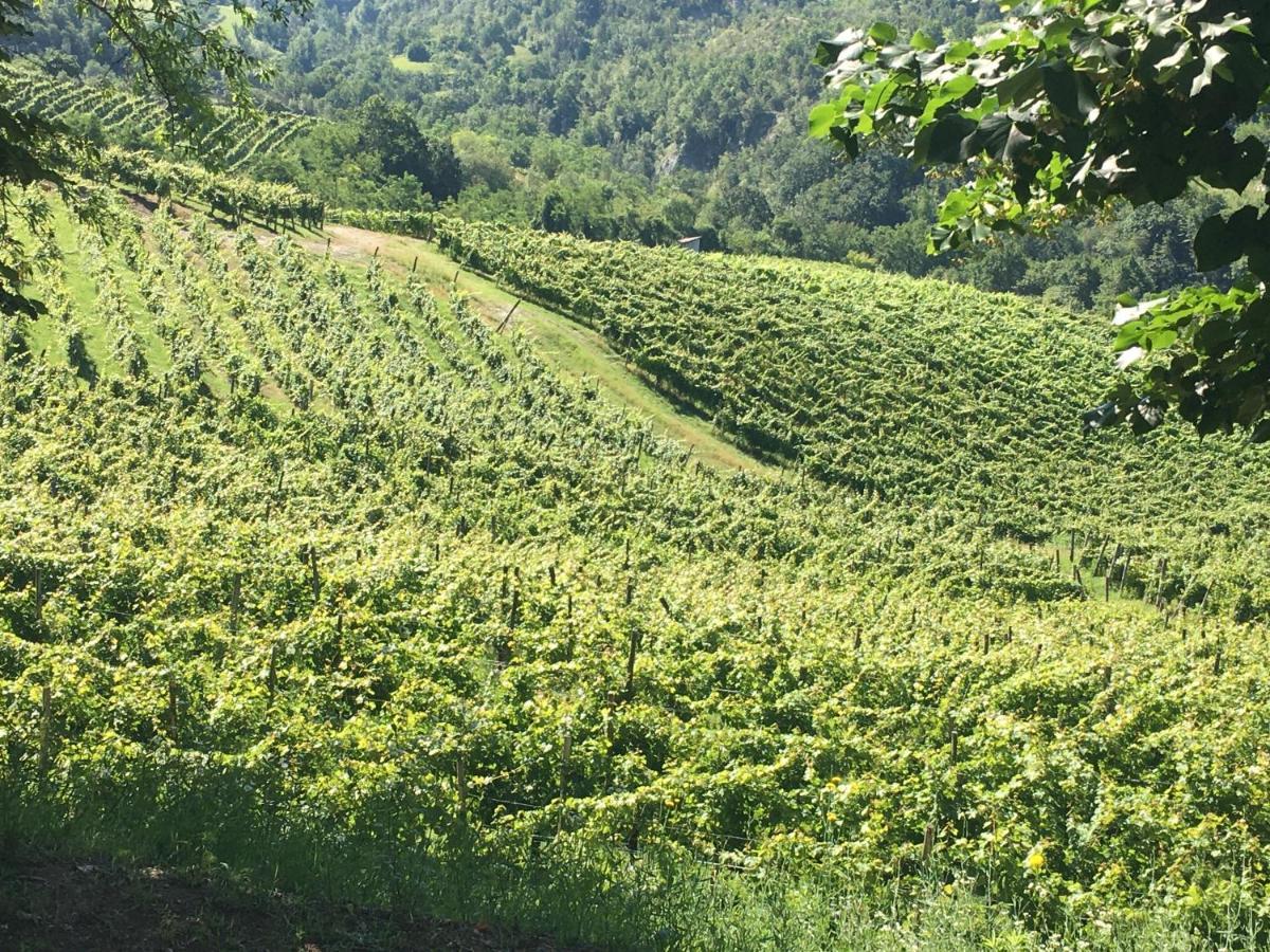 Cascina Bertolotto Wine Resort Spigno Monferrato Eksteriør bilde