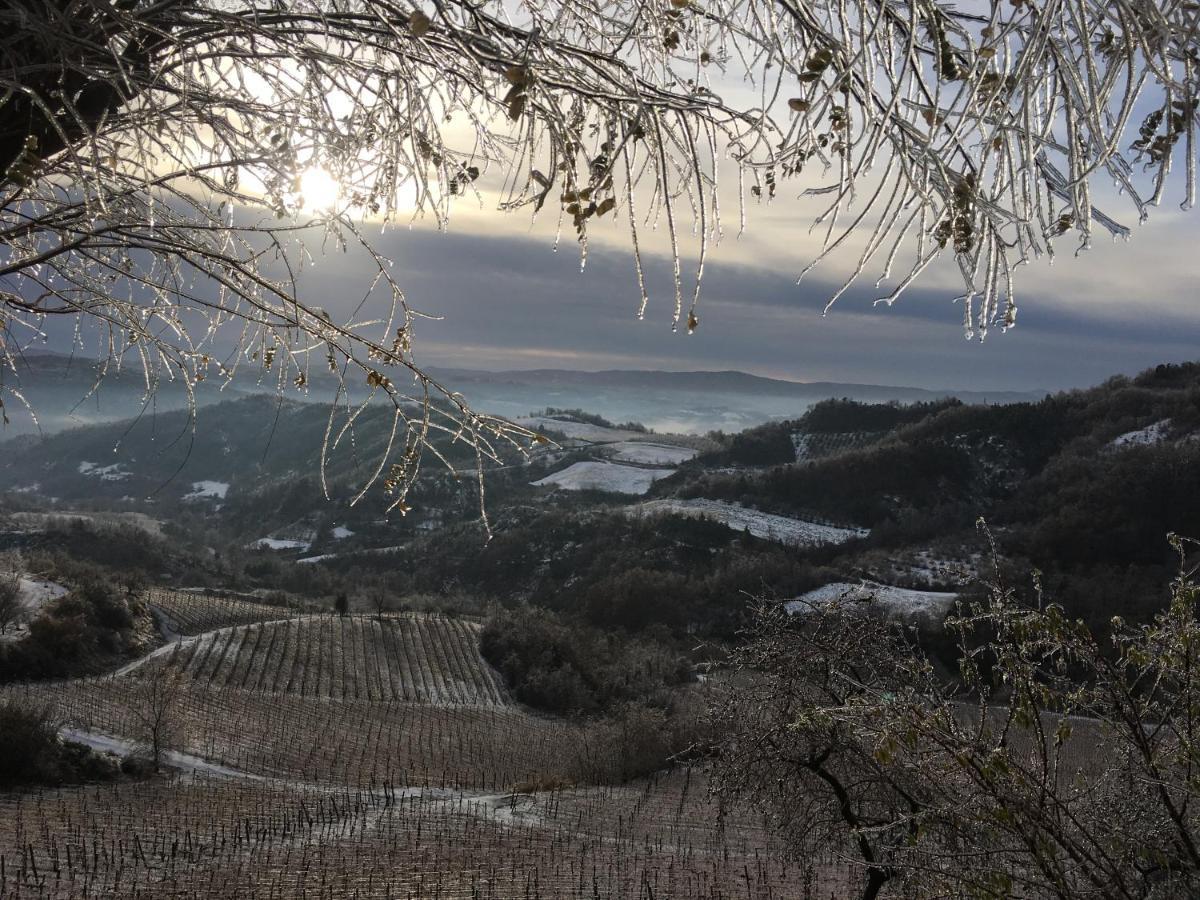 Cascina Bertolotto Wine Resort Spigno Monferrato Eksteriør bilde
