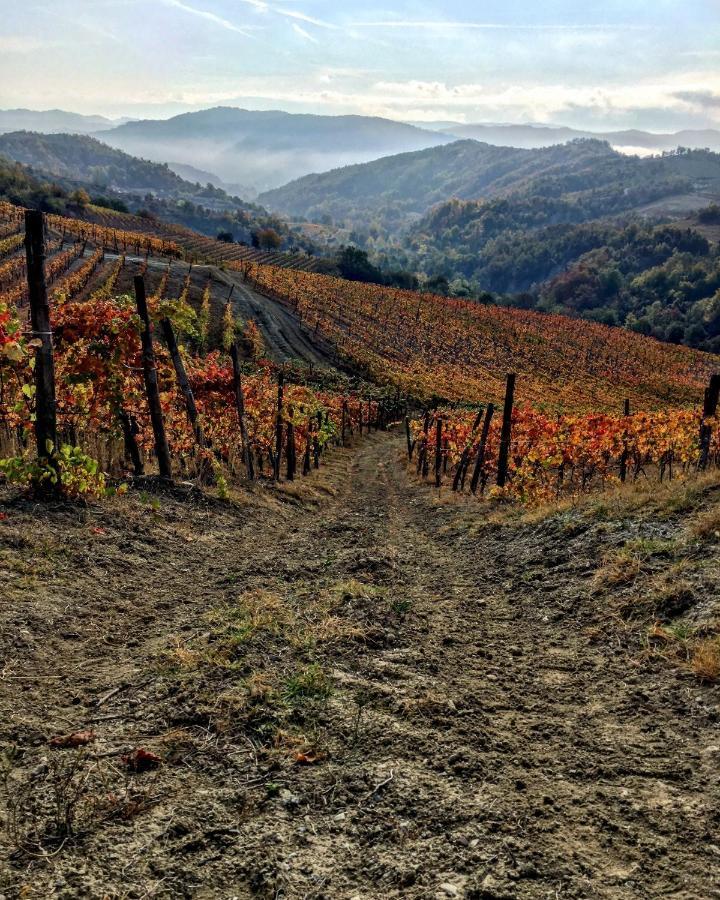 Cascina Bertolotto Wine Resort Spigno Monferrato Eksteriør bilde