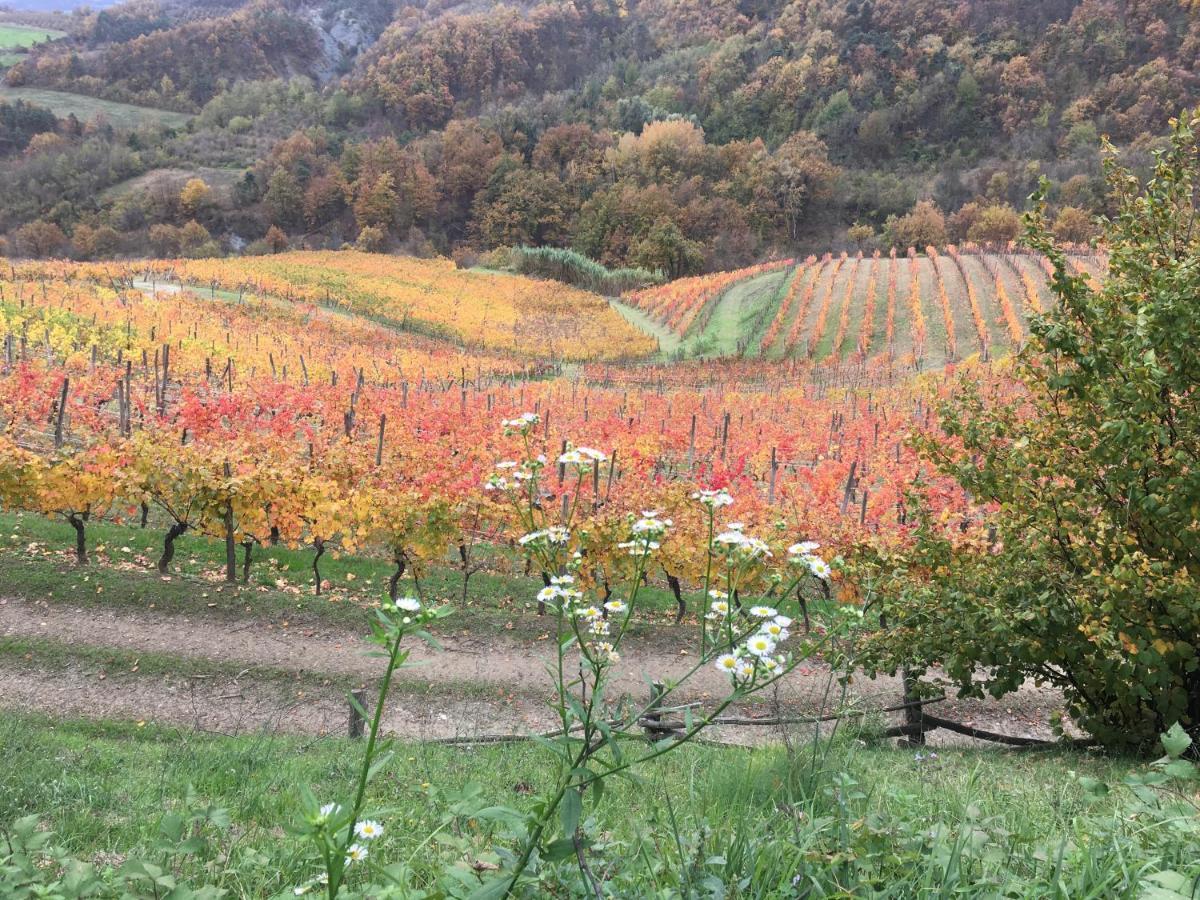 Cascina Bertolotto Wine Resort Spigno Monferrato Eksteriør bilde