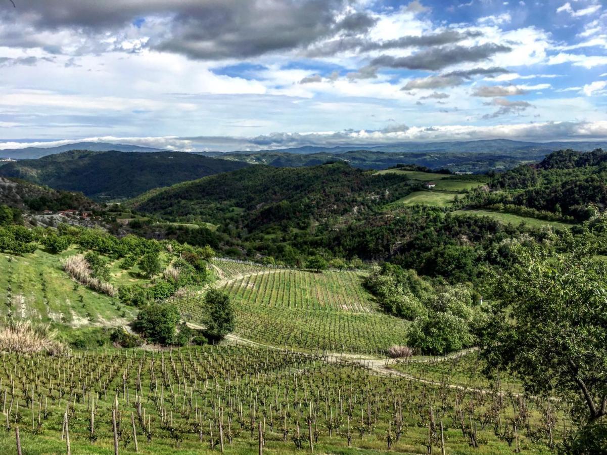 Cascina Bertolotto Wine Resort Spigno Monferrato Eksteriør bilde
