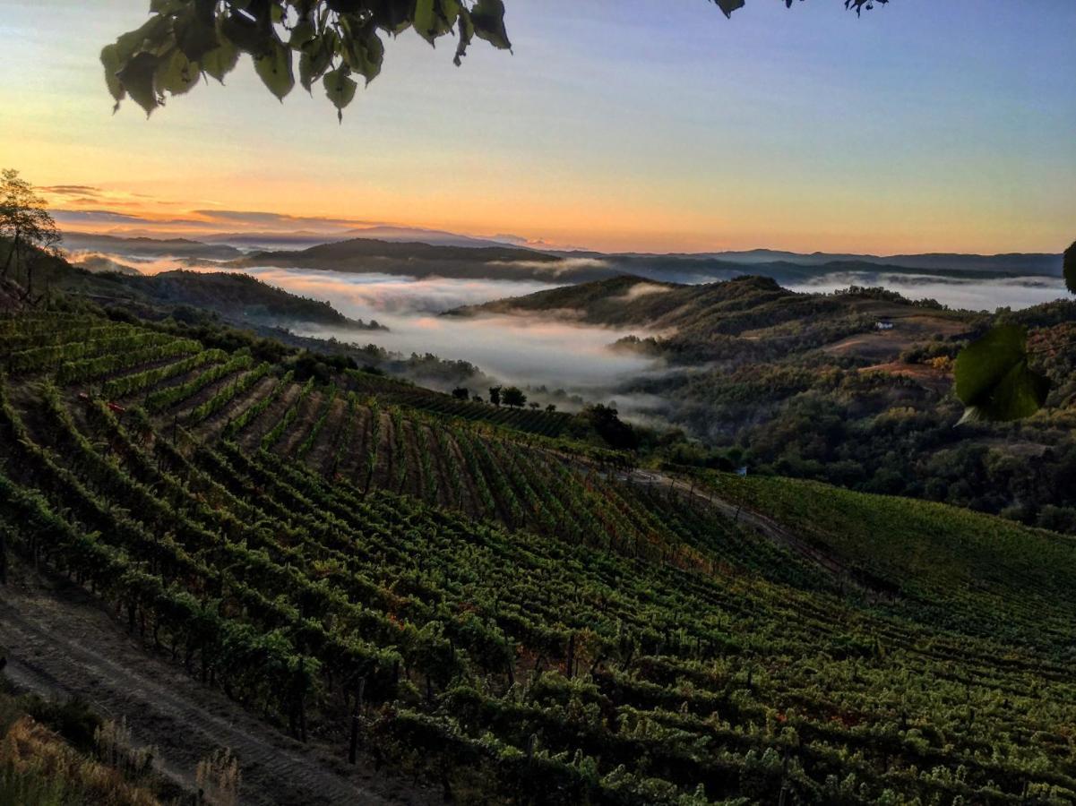 Cascina Bertolotto Wine Resort Spigno Monferrato Eksteriør bilde