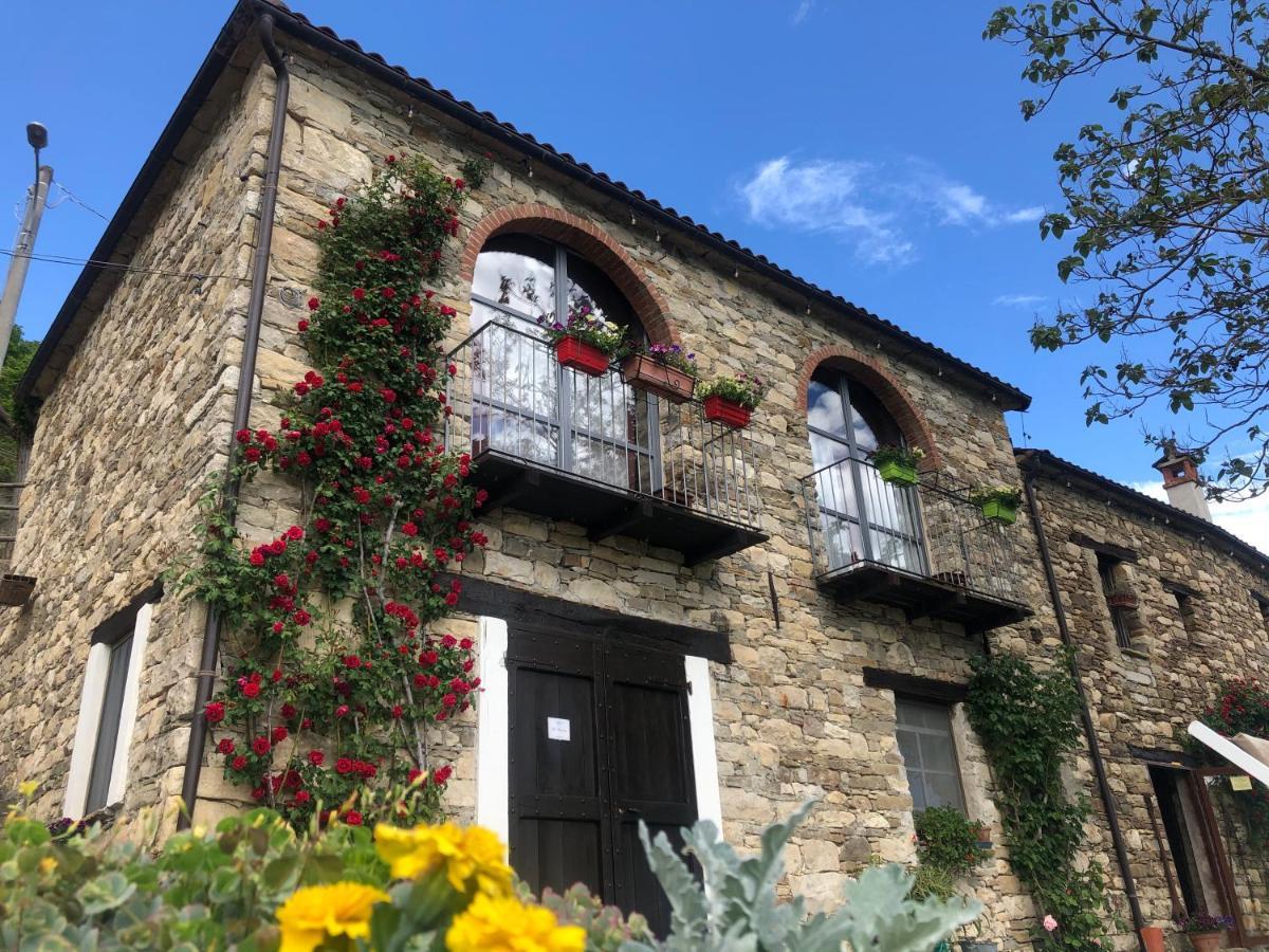 Cascina Bertolotto Wine Resort Spigno Monferrato Eksteriør bilde