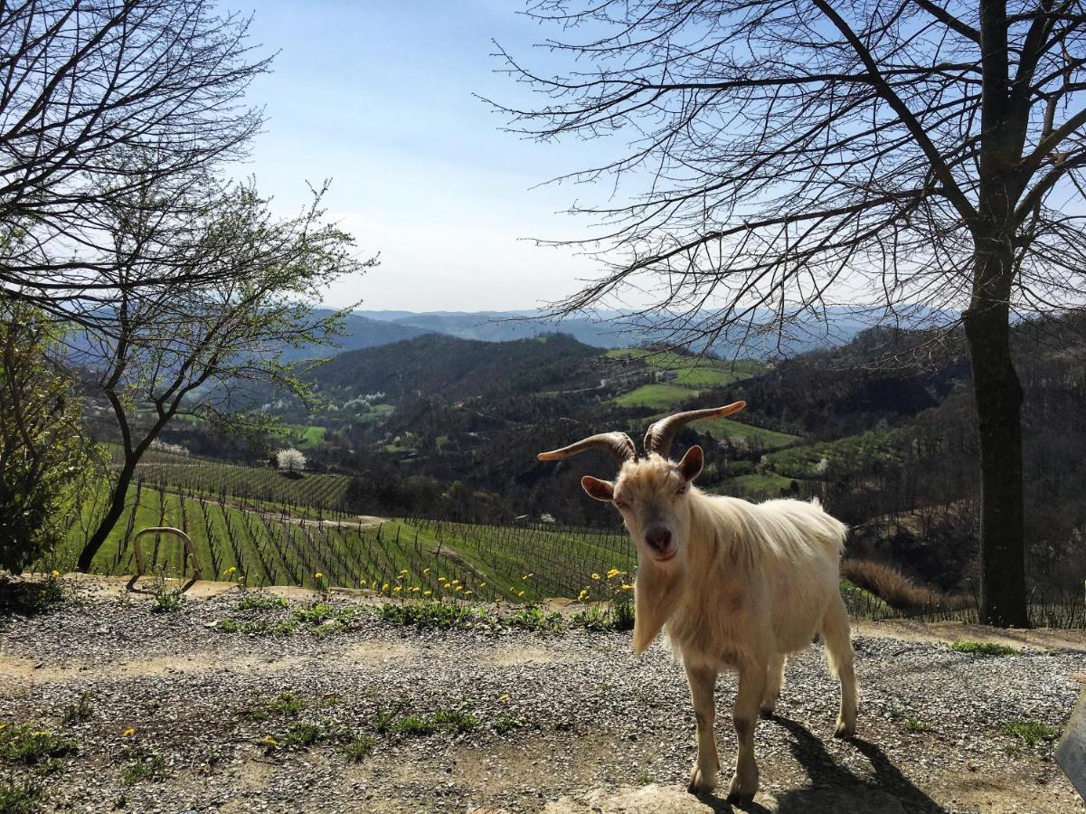 Cascina Bertolotto Wine Resort Spigno Monferrato Eksteriør bilde