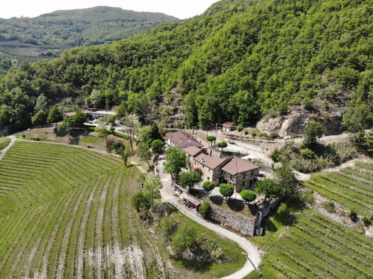Cascina Bertolotto Wine Resort Spigno Monferrato Eksteriør bilde