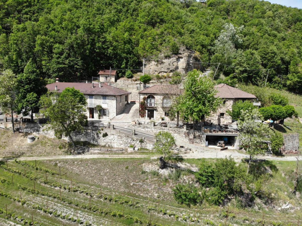 Cascina Bertolotto Wine Resort Spigno Monferrato Eksteriør bilde
