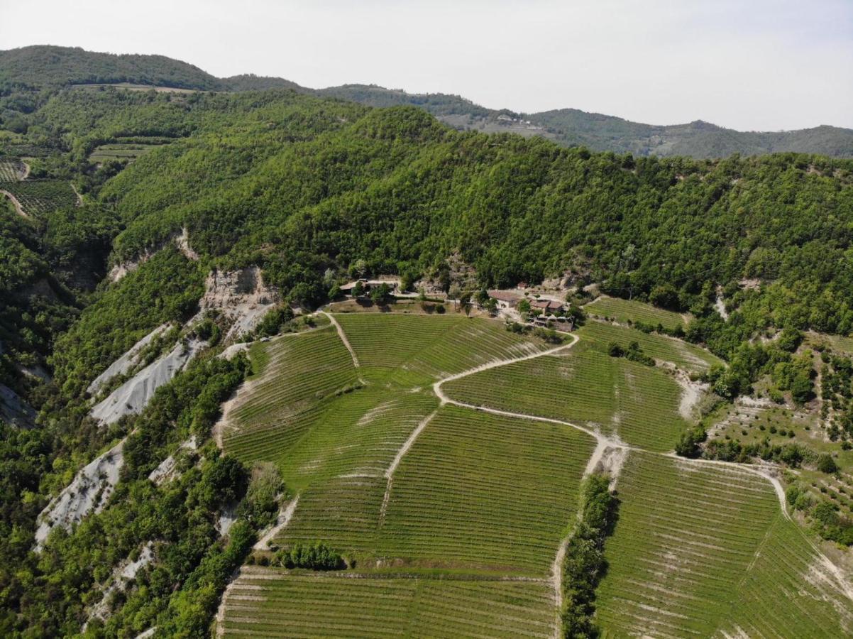 Cascina Bertolotto Wine Resort Spigno Monferrato Eksteriør bilde