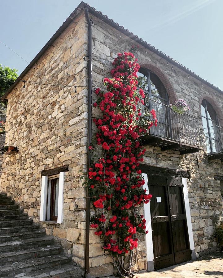 Cascina Bertolotto Wine Resort Spigno Monferrato Eksteriør bilde