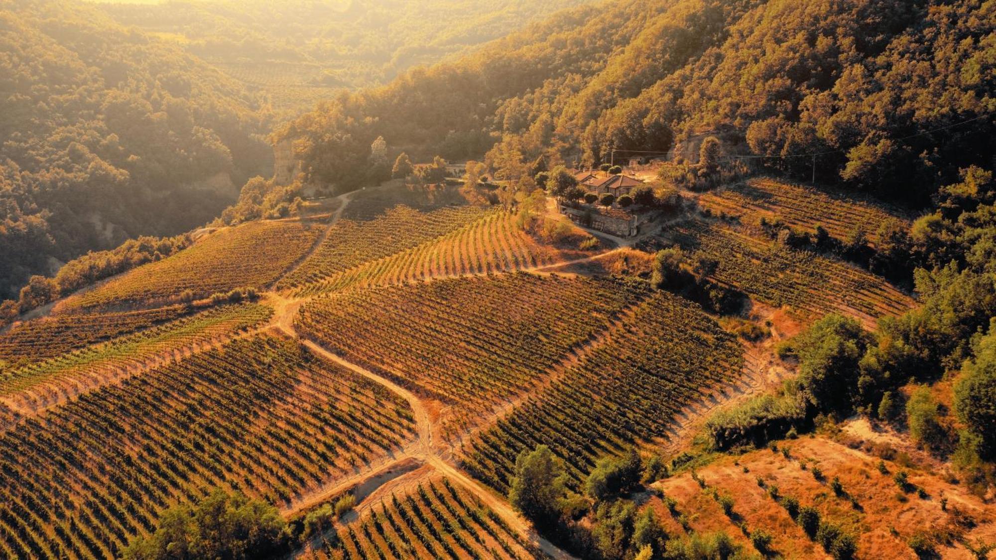 Cascina Bertolotto Wine Resort Spigno Monferrato Eksteriør bilde